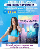 Yerba Magic Peach Mango™: Enfoque Natural, Digestión Equilibrada y Bienestar Diario